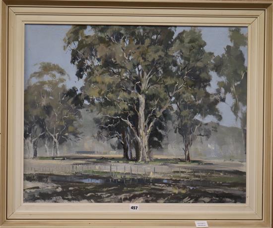 Peter Williams (1934-), oil on board, trees in a landscape, signed and dated 1966, 58 x 74cm